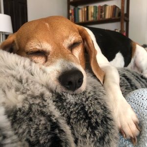 Meet your Posher, Lindsey